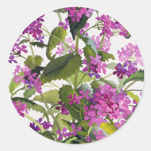 正直さ ラウンドシール (正面)