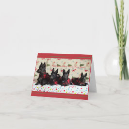 正直我々は良かった カード