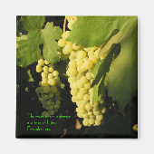 正義の実は… マグネット (正面)