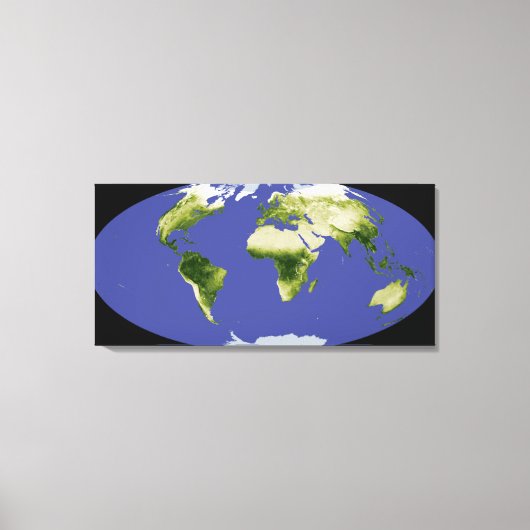 正規化差分植生指数 キャンバスプリント (正面)