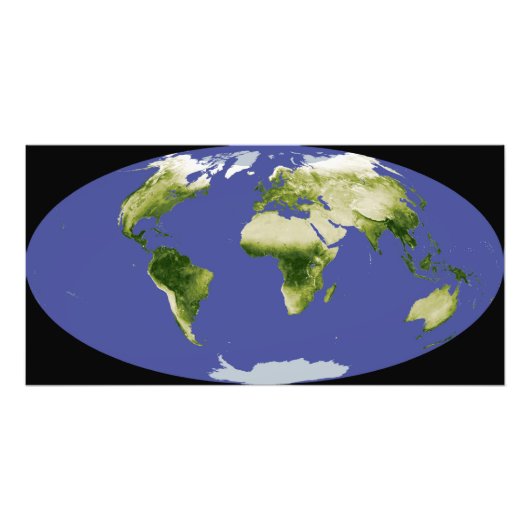 正規化差分植生指数 フォトプリント            (正面)