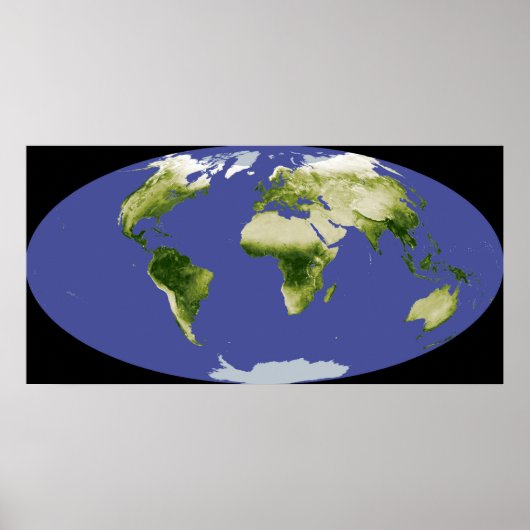 正規化差分植生指数 ポスター (正面)