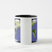 正規化差分植生指数 マグカップ (中央)