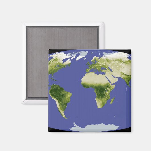 正規化差分植生指数 マグネット (正面/裏面)