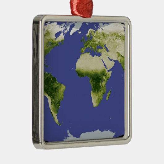 正規化差分植生指数 メタルオーナメント (右)