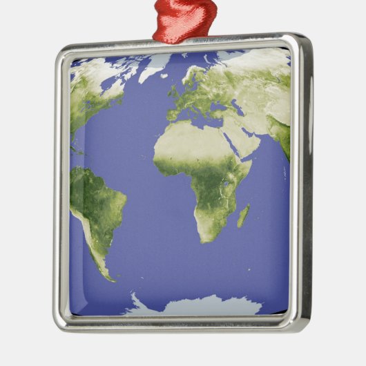 正規化差分植生指数 メタルオーナメント (左)