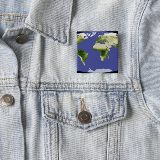 正規化差分植生指数 缶バッジ (インサイチュ)