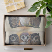 正規品（AIではない）パイプ喫煙フールイラストレーション 薄葉紙 (ギフト)