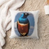 正面から見る絶妙なスターリング クッション (ブランケット)