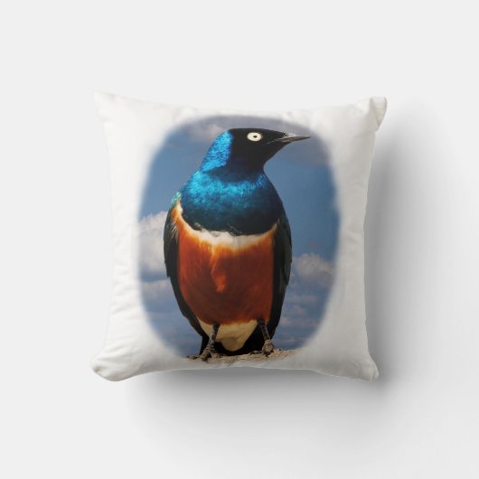 正面から見る絶妙なスターリング クッション (正面)