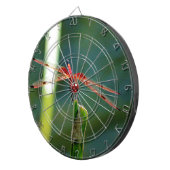 正面の赤と黒トンボ ダーツボード (正面右)