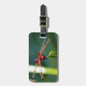 正面の赤と黒トンボ ラゲッジタグ (正面縦)