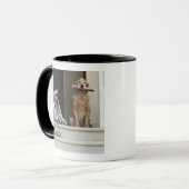 正面玄関に坐っているゴールデン・リトリーバー犬 マグカップ (正面左)