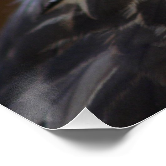 武手尾武手尾 ポスター (コーナー)