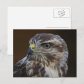 武手尾武手尾 ポストカード (正面/裏面)