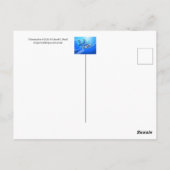 武漢こうもり ポストカード (裏面)