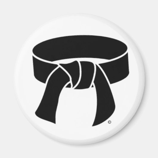 武術アーツブラックランクのベルトマグネット マグネット (正面)