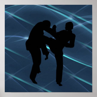 武術アーツポスター ポスター