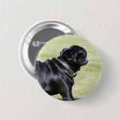 歩いている間喘ぐ黒いパグ 缶バッジ (正面&裏面)