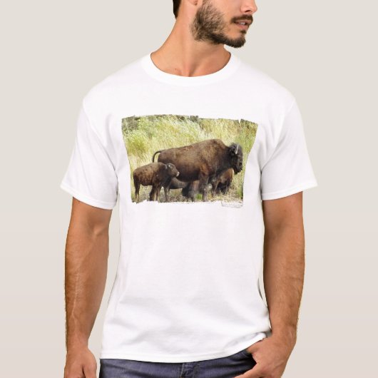 歩き回るバッファローの人のTシャツ Tシャツ (正面)