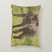 歩くのチータの枕 アクセントクッション (裏面(縦))