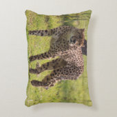 歩くのチータの枕 アクセントクッション (正面(垂直))