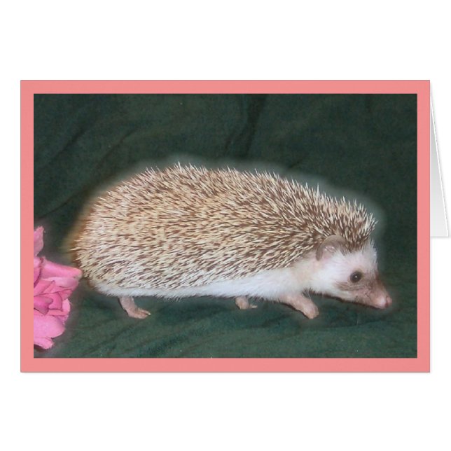 歩くのハリネズミ (正面横)