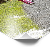 歩くの写真の拡大 フォトプリント            (角)