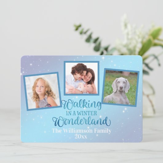 歩くの冬のワンダーランド3枚の写真 (スタンド正面)