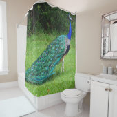 歩くの孔雀 シャワーカーテン (インサイチュ)