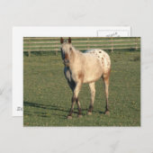 歩くアパルーサ ポストカード (正面/裏面)