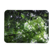 歩くイン・フォレストチェスターサウスカロライナ州 マグネット (横)