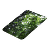 歩くイン・フォレストチェスターサウスカロライナ州 マグネット (左側)