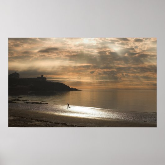 歩くザドッグオンダグラスビーチ ポスター (正面)