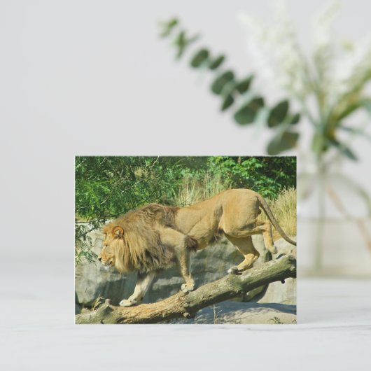 歩くザプランク ポストカード (スタンド正面)