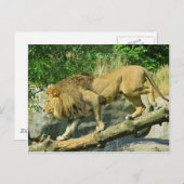 歩くザプランク ポストカード (正面/裏面)