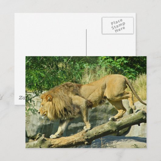 歩くザプランク ポストカード (正面/裏面)