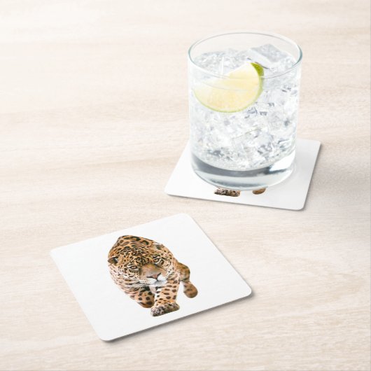 歩くジャガーアイズ スクエアペーパーコースター (インサイチュ)