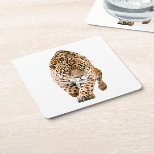 歩くジャガーアイズ スクエアペーパーコースター (アングル)