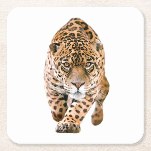 歩くジャガーアイズ スクエアペーパーコースター (正面)