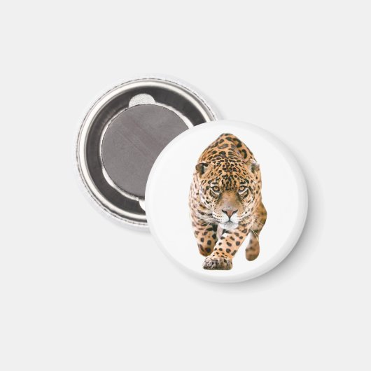 歩くジャガーアイズ マグネット (正面/裏面)