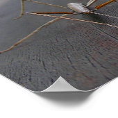 歩くスティックプリント/ポスター ポスター (角)