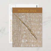 歩くスティック葉書 ポストカード (正面/裏面)