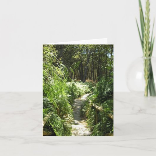 歩くトラックスペイン写真の毎日カード カード (正面)