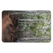 歩くトレイルフォトマグネット マグネット (横)