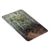 歩くトレイルフォトマグネット マグネット (右側)