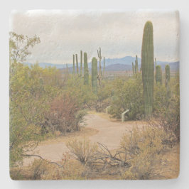 歩くパス砂漠のアリゾナ州、平方コースター ストーンコースター