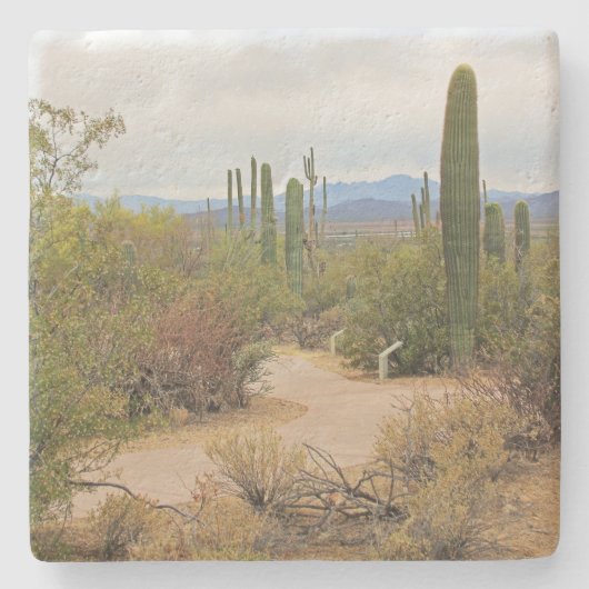 歩くパス砂漠のアリゾナ州、平方コースター ストーンコースター (正面)