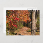 歩くパス ポストカード (正面/裏面)