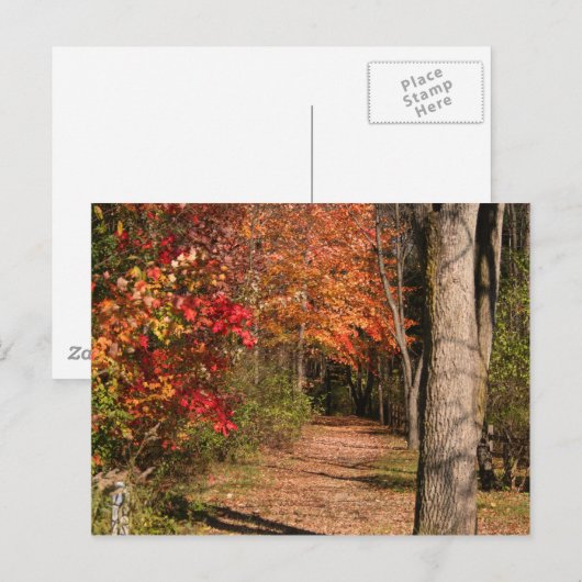 歩くパス ポストカード (正面/裏面)